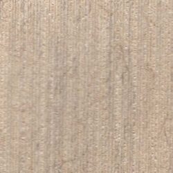 MIXAGE-2-MICENE-1131-E2